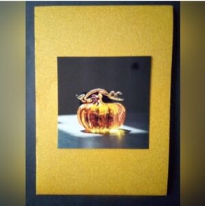 Collage of Pumpkin portraits/for sale